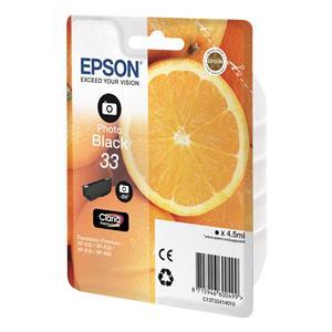 Epson 33 Photo Black Ink Cartridge 